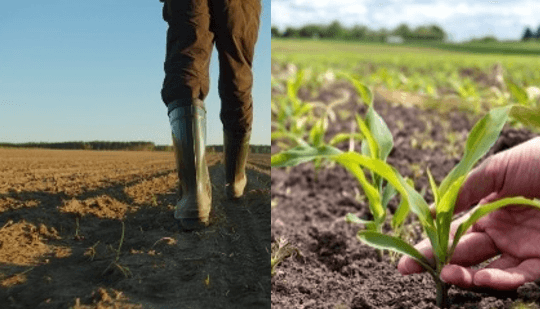 Field Services