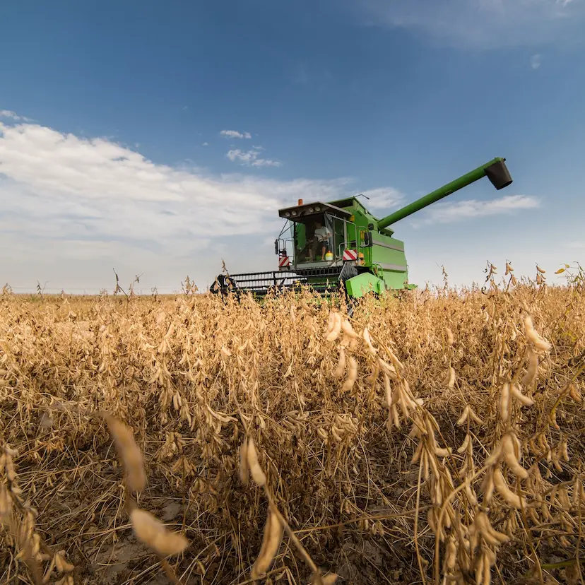 Spatial field data visualization showing variable crop conditions