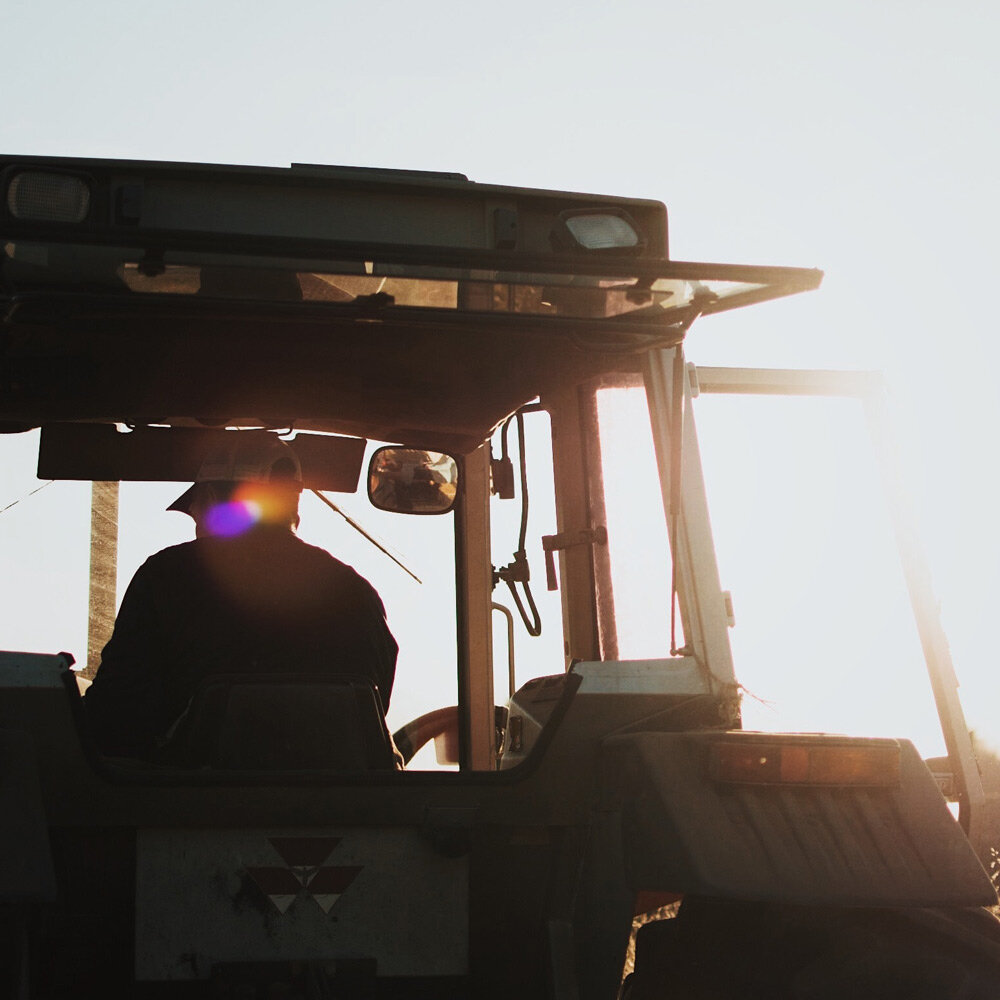 Farmer reviewing customized agricultural report in the field