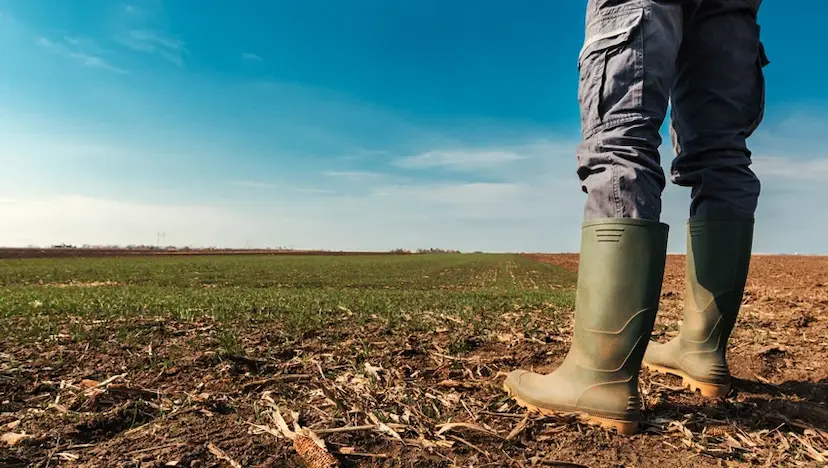 Field implementation of agricultural strategy with equipment in operation